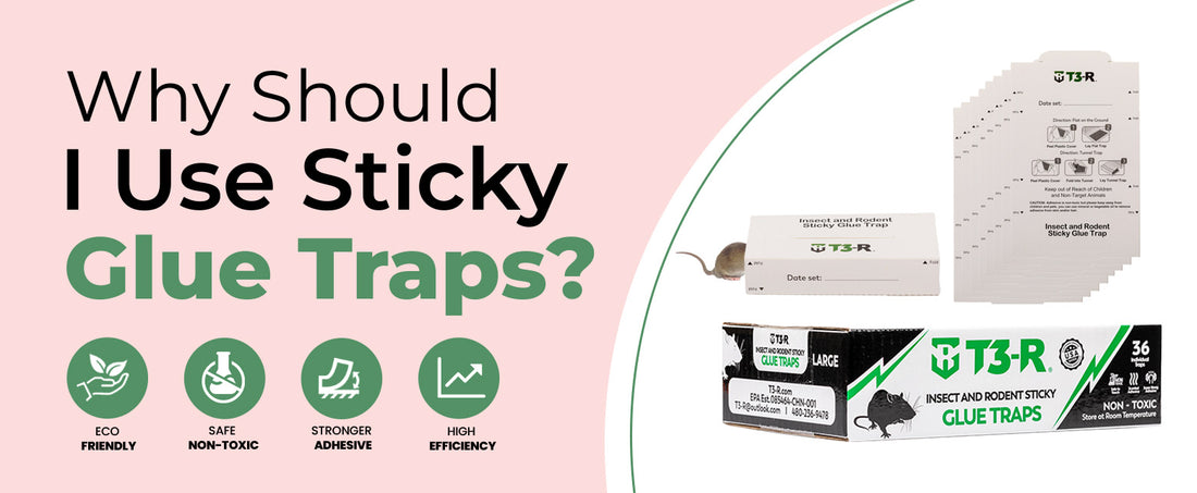 t3-r glue-traps