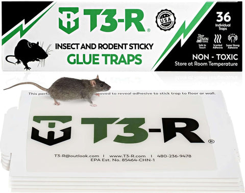  T3-R Large Rat Mice Glue Traps
