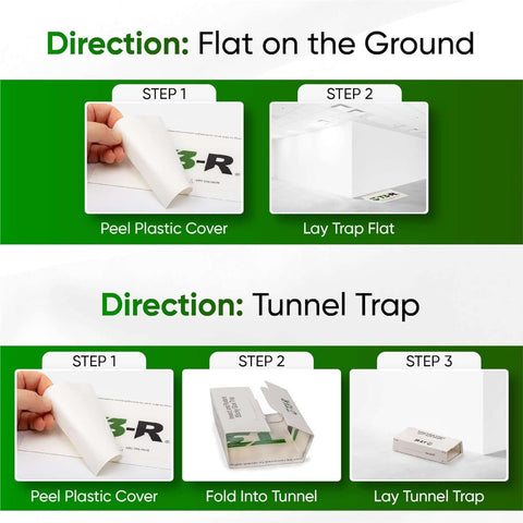  T3-R Sticky Tunnel Trap