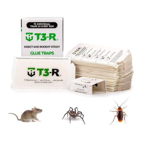 T3-R ​​Sticky Traps for Bugs