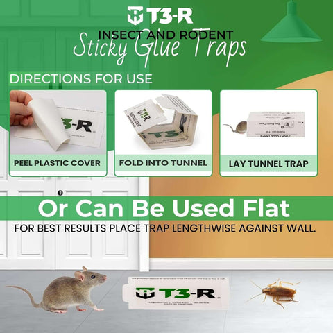 T3-R Effective Sticky Traps for Bugs