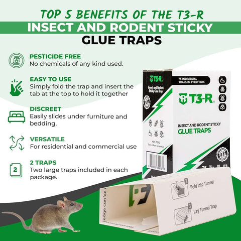 T3-R ​​Sticky Glue Traps