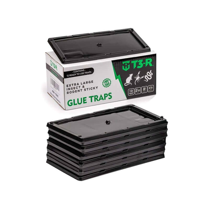 T3-R Extra Large Sticky Traps for Bugs 12-Pack: Pest Control Solution