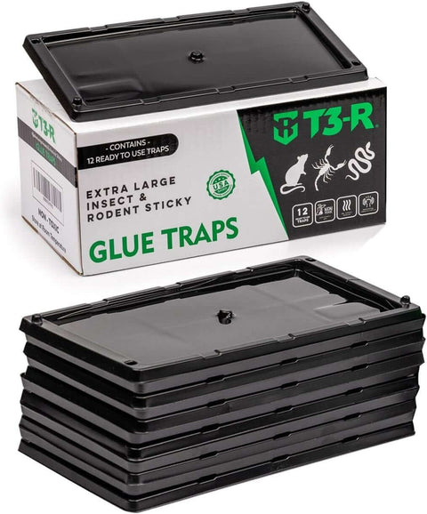 T3-R Glue Traps